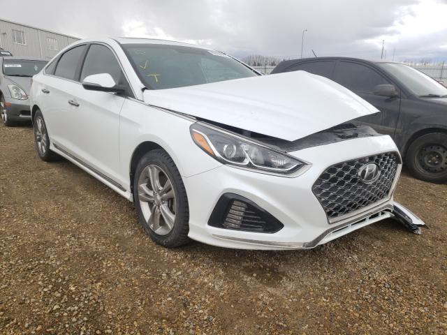 HYUNDAI SONATA SPO 2018 5npe34af3jh677796