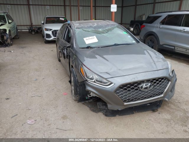 HYUNDAI SONATA 2018 5npe34af3jh691438