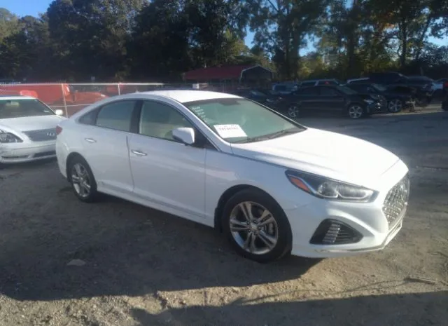 HYUNDAI SONATA 2019 5npe34af3kh738940