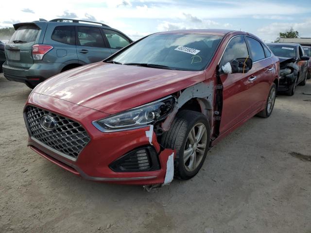 HYUNDAI SONATA LIM 2019 5npe34af3kh742972