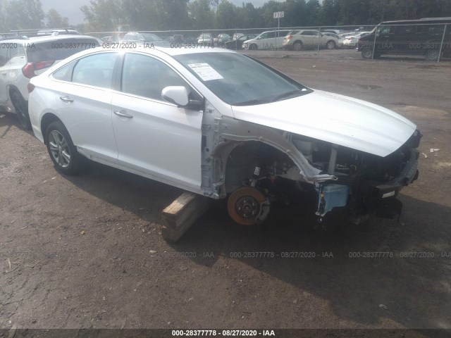 HYUNDAI SONATA 2019 5npe34af3kh744429