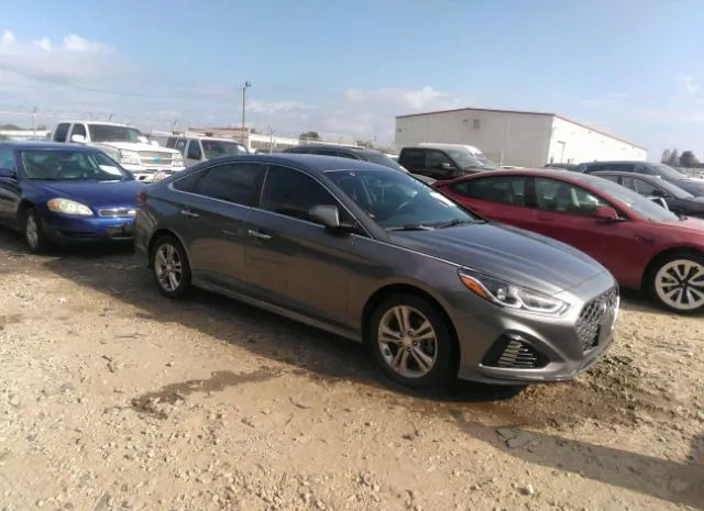 HYUNDAI SONATA 2019 5npe34af3kh773817