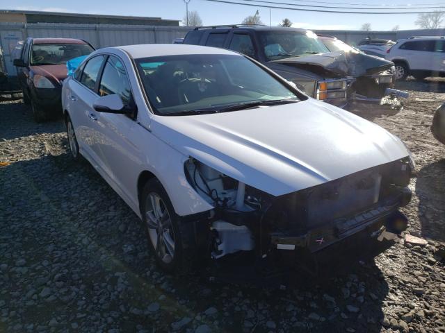 HYUNDAI SONATA LIM 2019 5npe34af3kh778712