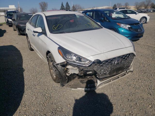 HYUNDAI SONATA LIM 2019 5npe34af3kh779228