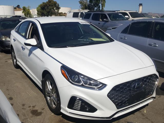 HYUNDAI SONATA LIM 2019 5npe34af3kh785496