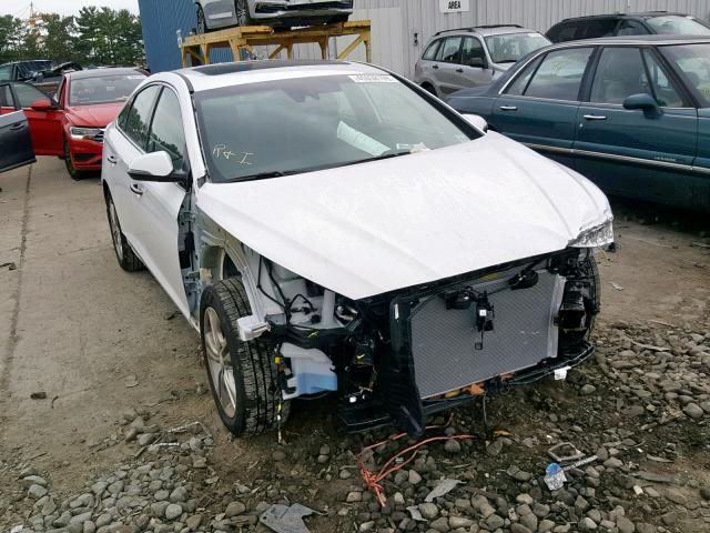 HYUNDAI SONATA LIM 2019 5npe34af3kh791413