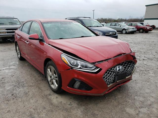 HYUNDAI SONATA LIM 2019 5npe34af3kh797146