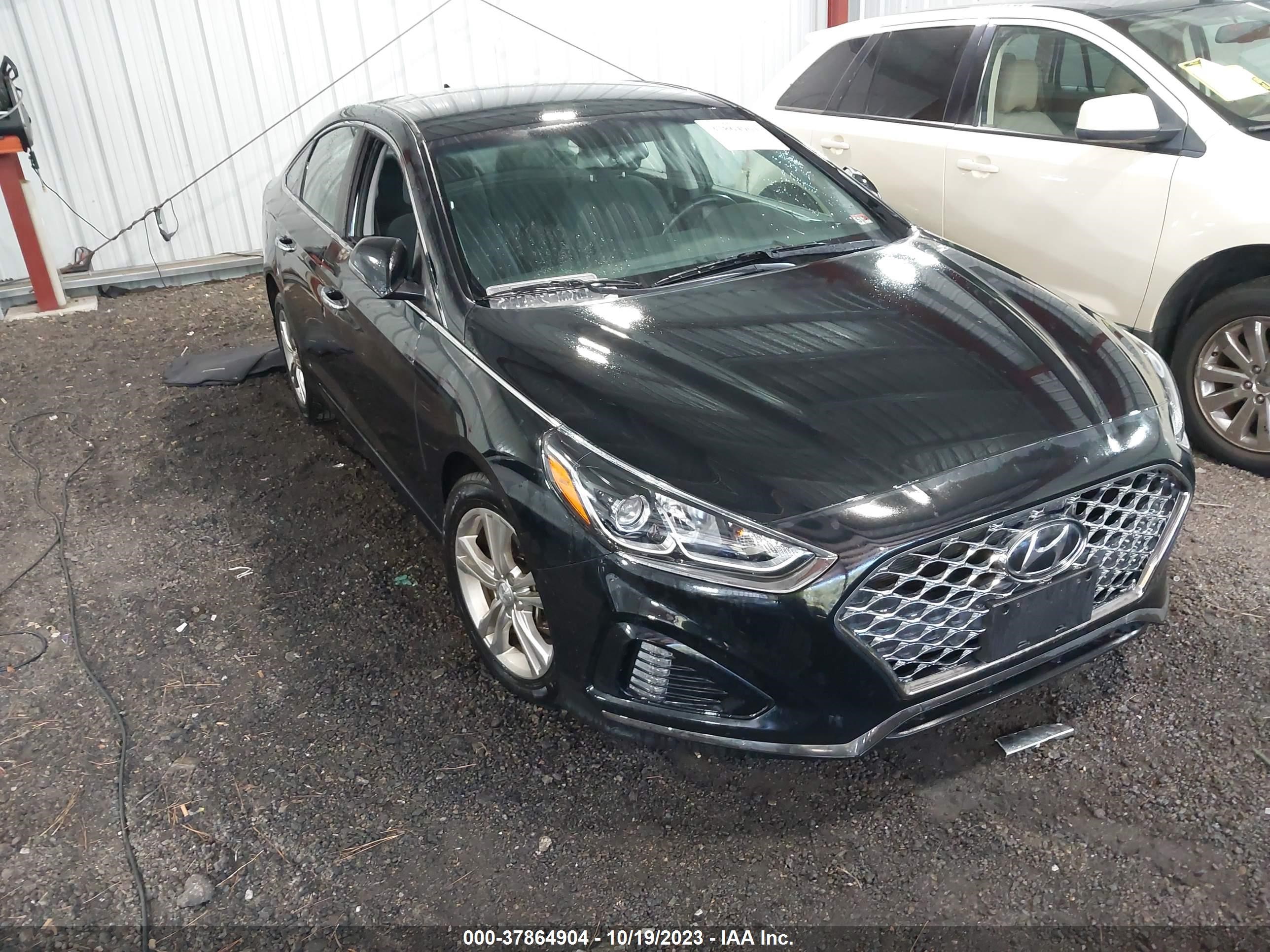 HYUNDAI SONATA 2019 5npe34af3kh809778