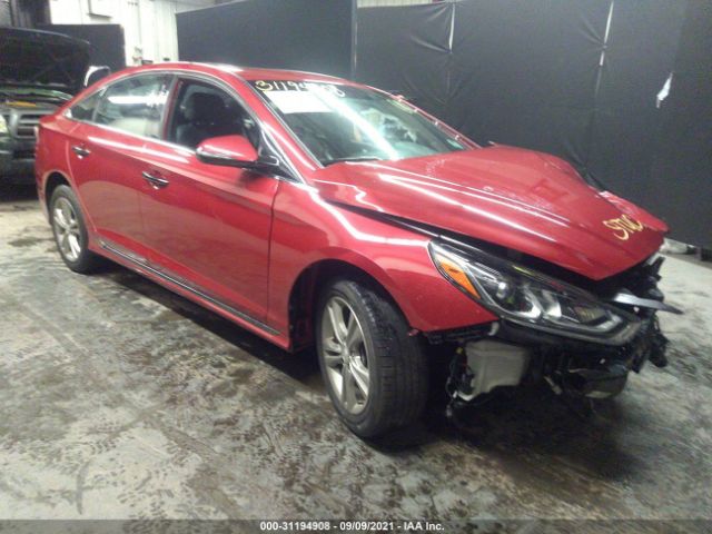 HYUNDAI SONATA 2019 5npe34af3kh810087