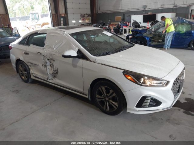 HYUNDAI SONATA 2019 5npe34af3kh811031