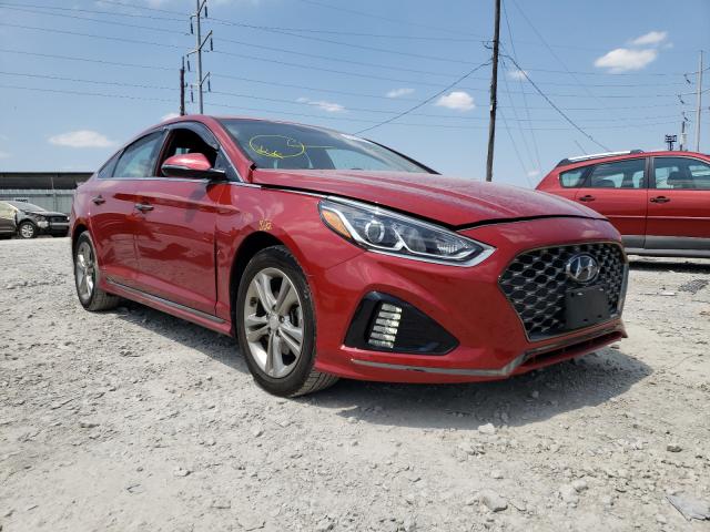 HYUNDAI SONATA LIM 2019 5npe34af3kh818853