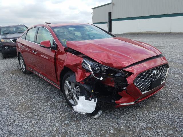 HYUNDAI SONATA LIM 2019 5npe34af3kh820926