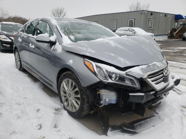 HYUNDAI SONATA SPO 2015 5npe34af4fh034204