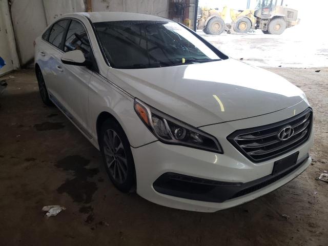 HYUNDAI SONATA SPO 2015 5npe34af4fh034350