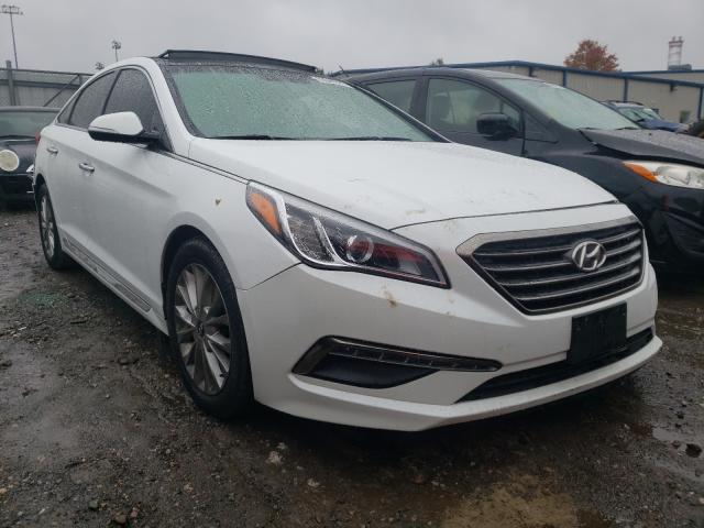 HYUNDAI SONATA SPO 2015 5npe34af4fh038396