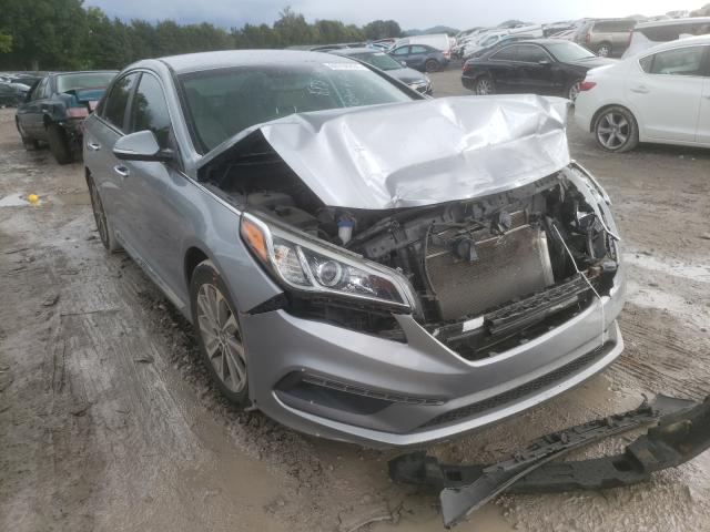 HYUNDAI SONATA SPO 2015 5npe34af4fh057854