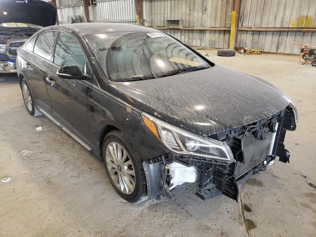 HYUNDAI SONATA SPO 2015 5npe34af4fh066893