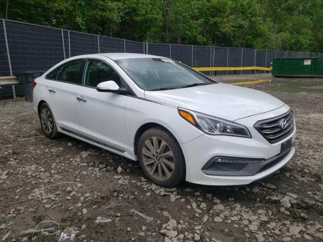 HYUNDAI SONATA SPO 2015 5npe34af4fh073570