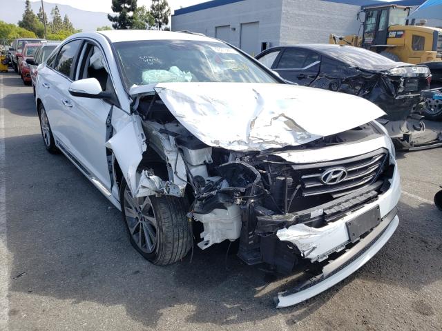 HYUNDAI SONATA SPO 2015 5npe34af4fh077666