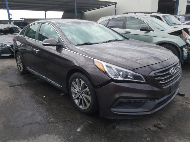 HYUNDAI SONATA SPO 2015 5npe34af4fh084195