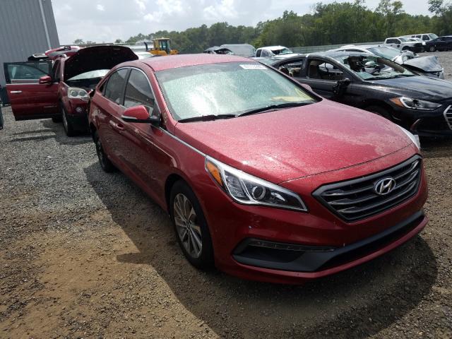 HYUNDAI SONATA SPO 2015 5npe34af4fh119351