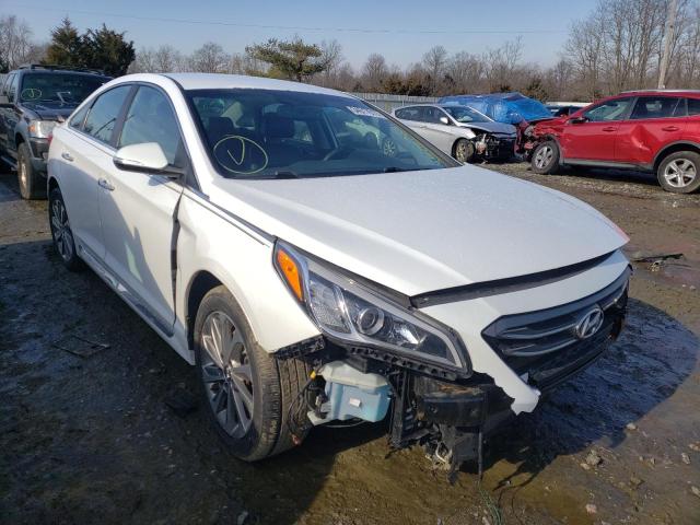 HYUNDAI SONATA SPO 2015 5npe34af4fh137011