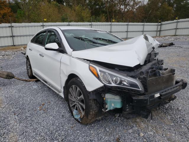 HYUNDAI SONATA SPO 2015 5npe34af4fh174687