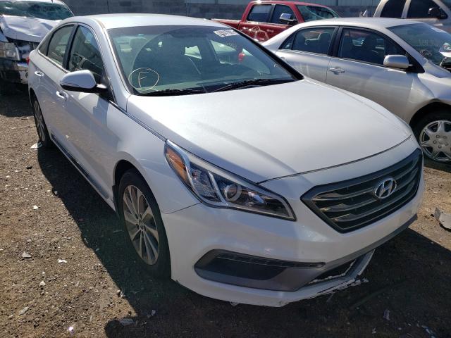 HYUNDAI SONATA SPO 2015 5npe34af4fh191814