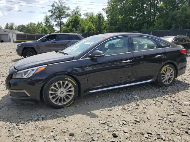 HYUNDAI SONATA SPO 2015 5npe34af4fh210605