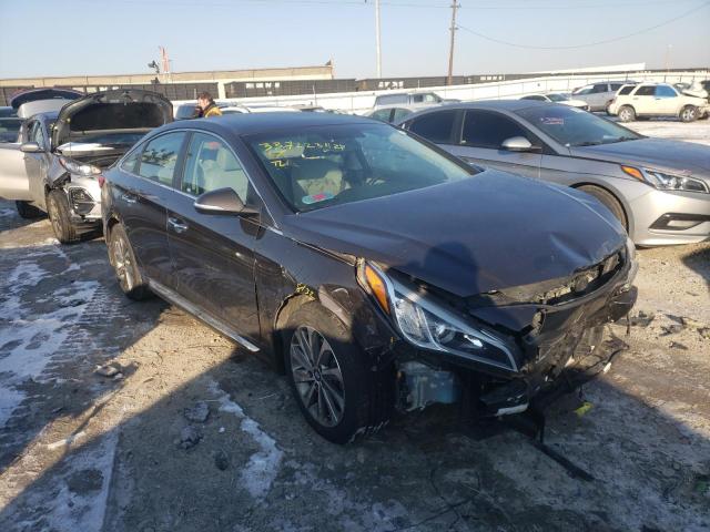 HYUNDAI SONATA SPO 2015 5npe34af4fh232085