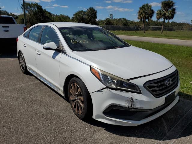 HYUNDAI SONATA SPO 2015 5npe34af4fh234029