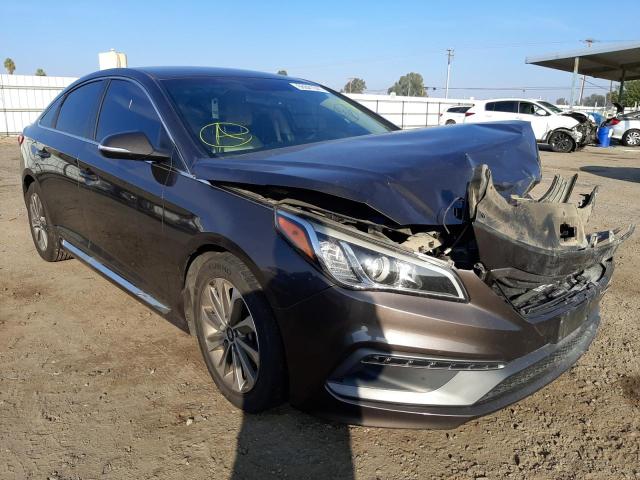 HYUNDAI SONATA SPO 2015 5npe34af4fh235925