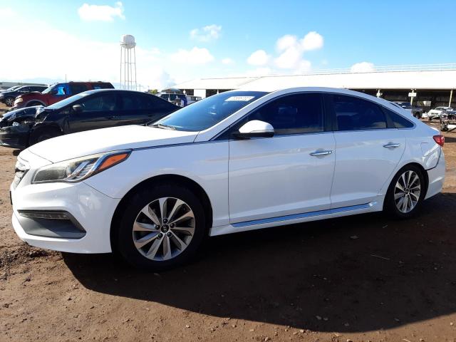 HYUNDAI SONATA SPO 2015 5npe34af4fh247489