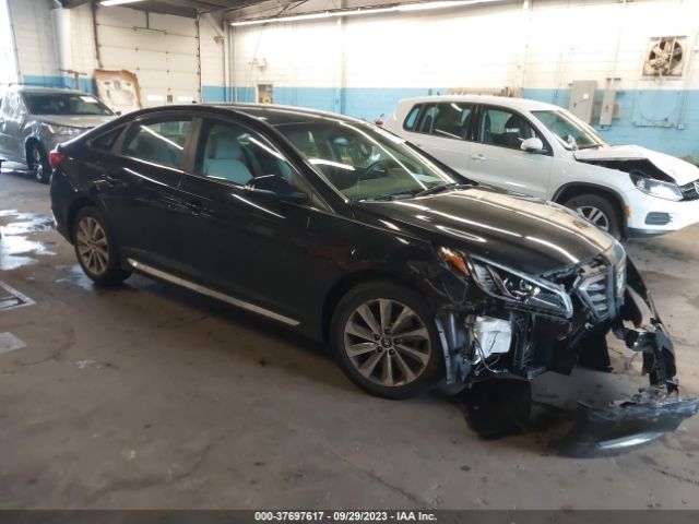 HYUNDAI SONATA 2016 5npe34af4gh274421