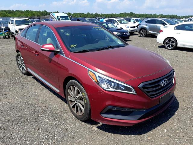 HYUNDAI SONATA SPO 2016 5npe34af4gh286858