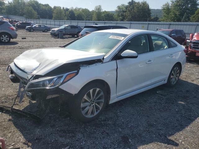 HYUNDAI SONATA SPO 2016 5npe34af4gh308762