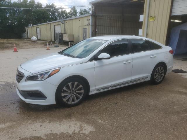 HYUNDAI SONATA SPO 2016 5npe34af4gh318885