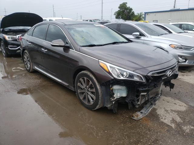 HYUNDAI SONATA SPO 2016 5npe34af4gh325187