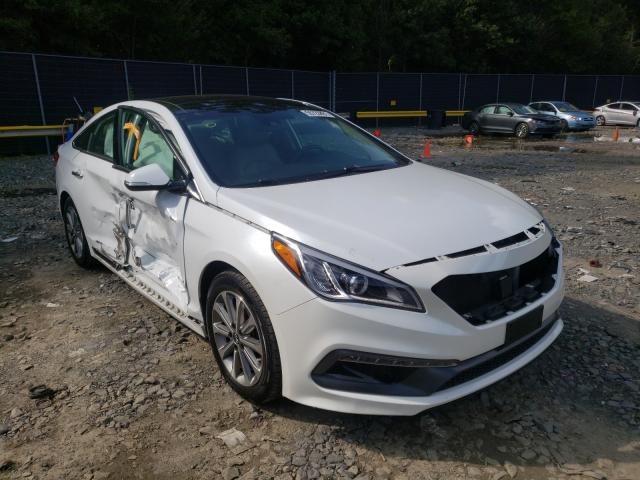 HYUNDAI SONATA SPO 2016 5npe34af4gh326386