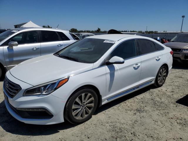 HYUNDAI SONATA SPO 2016 5npe34af4gh342491