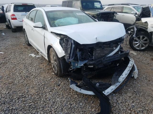 HYUNDAI SONATA SPO 2016 5npe34af4gh356388