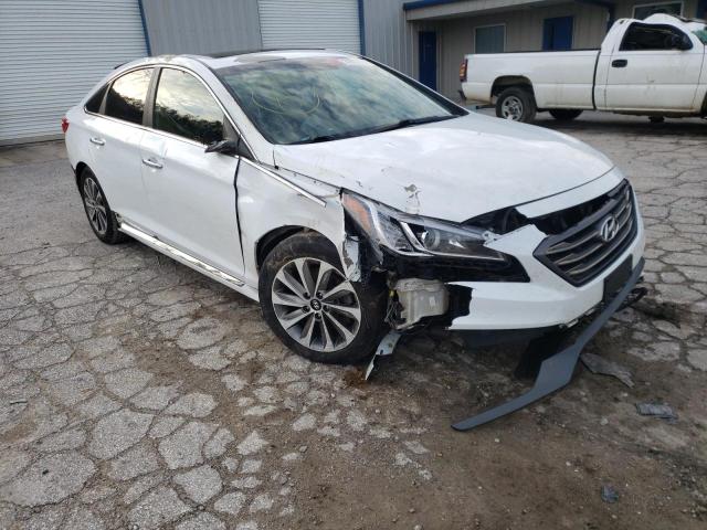 HYUNDAI SONATA SPO 2016 5npe34af4gh368069