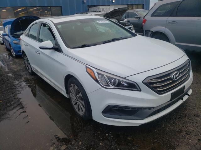 HYUNDAI SONATA SPO 2016 5npe34af4gh370260