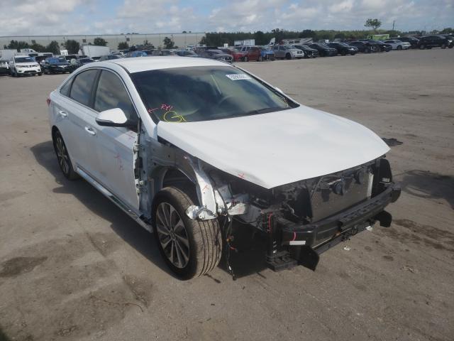 HYUNDAI SONATA SPO 2016 5npe34af4gh380108