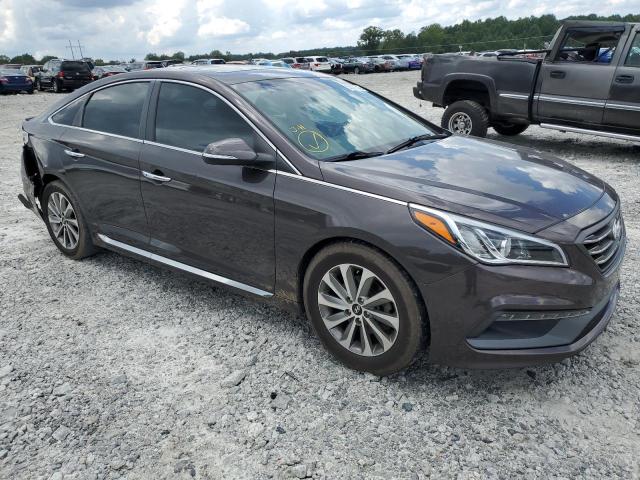 HYUNDAI SONATA SPO 2016 5npe34af4gh393327