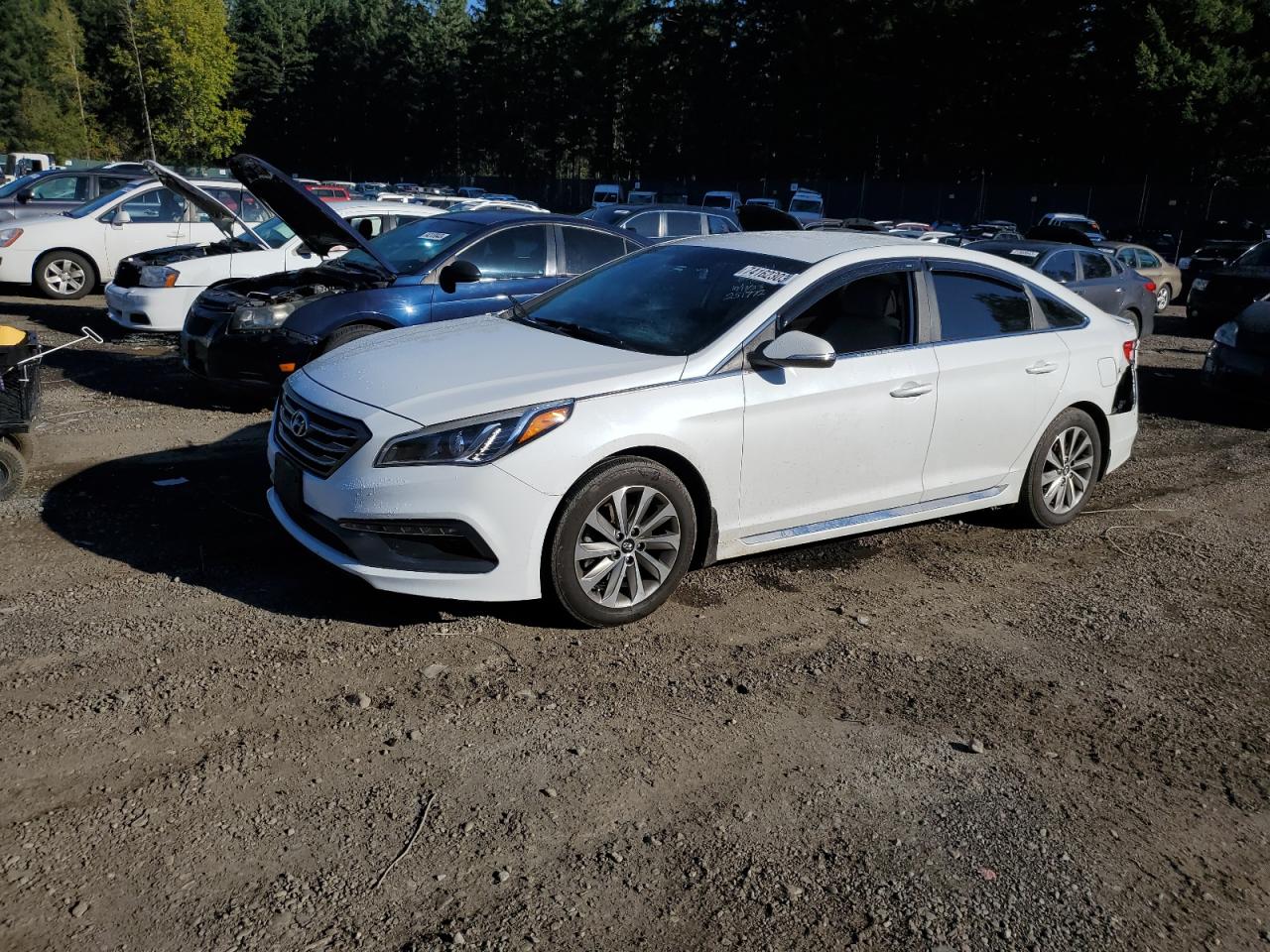 HYUNDAI SONATA 2017 5npe34af4hh437764