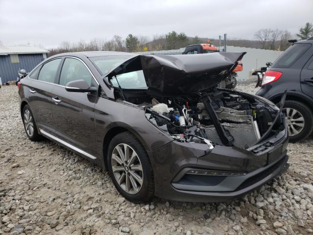 HYUNDAI SONATA SPO 2017 5npe34af4hh462518