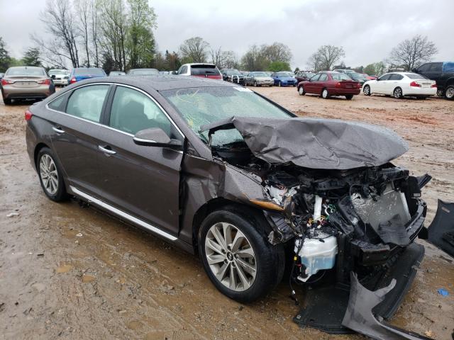 HYUNDAI SONATA SPO 2017 5npe34af4hh464558