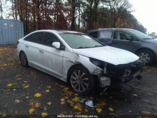 HYUNDAI SONATA 2017 5npe34af4hh465581