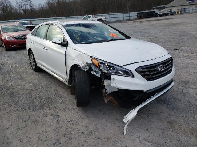 HYUNDAI SONATA SPO 2017 5npe34af4hh483062